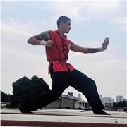 Profesor de Tai chi, Kung Fu y medicina tradicional china. Entrenador deportivo